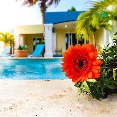 Aqua Viva Suites Playa Eksteriør billede