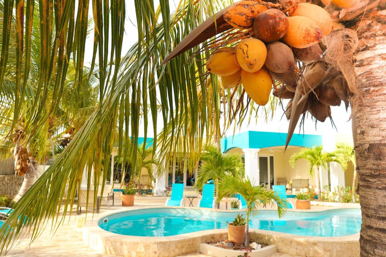 Aqua Viva Suites Playa Eksteriør billede
