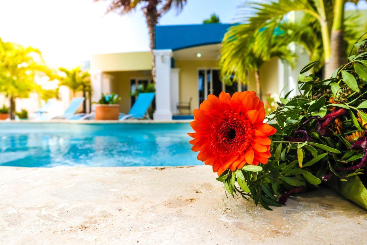 Aqua Viva Suites Playa Eksteriør billede